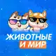 Аватар канала Мир и Животные