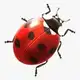 Аватар канала ФСН 🐞 OFFICIAL️