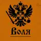 Аватар канала Воля🏴‍☠️