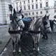 Аватар канала Кое-что о Вене