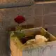 Аватар канала жизнь