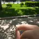 Аватар канала Миролюбивое Море