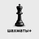 Аватар канала Шахматы +