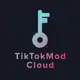 Аватар канала TikTokModCloud 🌨️