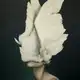 Аватар канала Fleur