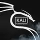 Аватар канала Kali Linux