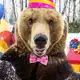 Аватар канала 🐻Медведь Мансур