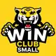 Аватар канала Win Club Small