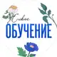 Аватар канала Живое обучение