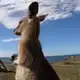 Аватар канала Мемы и точка