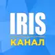 Аватар канала Iris | Чат-менеджер | Канал