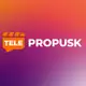 Аватар канала Телепропуск