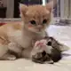 Аватар канала все для любви<3