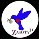 Аватар канала Zабота 31