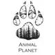 Аватар канала Animal Planet