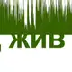 Аватар канала Перевод жив