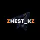 Аватар канала ZHEST_KZ