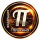 Аватар канала Пушкино Новости - Федерация