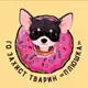 Аватар канала Захист тварин "Плюшка"🍩