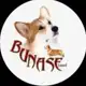 Аватар канала Питомник BUNASE🐶