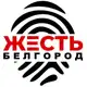 Аватар канала Жесть Белгород