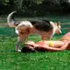 Аватар канала Video Prikol 😆🔞