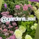 Аватар канала Садовый центр Gardens | Москва