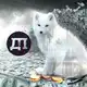 Аватар канала Деньги и песец