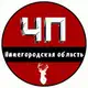 Аватар канала ЧП Нижний Новгород и Нижегородская область