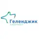 Аватар канала Аэропорт Геленджик