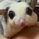 Аватар канала Славный Друже Oblomoff