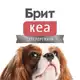 Аватар канала Брит Кеа | Корм для собак и кошек