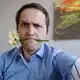 Аватар канала Поднявшиеся листья