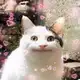 Аватар канала Memasius🐱