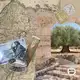 Аватар канала Еврейская история