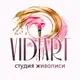 Аватар канала Студия живописи VIDIART Воронеж