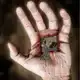 Аватар канала Physics.Math.Code