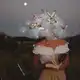 Аватар канала 📚✨️ ʟɪʙʀᴏs ✨️📚