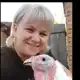Аватар канала shurkin_dvorik