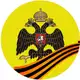 Аватар канала Военная История - РВИО