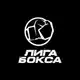 Аватар канала «ЛИГА БОКСА»