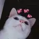 Аватар канала love pictures