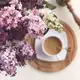 Аватар канала 🌸BLOOMING HOME 🌸