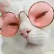 Аватар канала Lonty