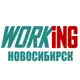 Аватар канала НОВОСИБИРСК Работа