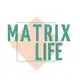 Аватар канала Matrix life канал - Матрица Судьбы без мистики | обучение