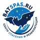 Аватар канала 🦇 batspas 🦇