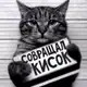 Аватар канала 🄺 🄾 🅃 🄴 🐾 🄿 🄰 🅁 🅃 🅈