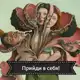 Аватар канала Human Design для каждого