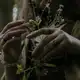 Аватар канала [разнотрáвье]